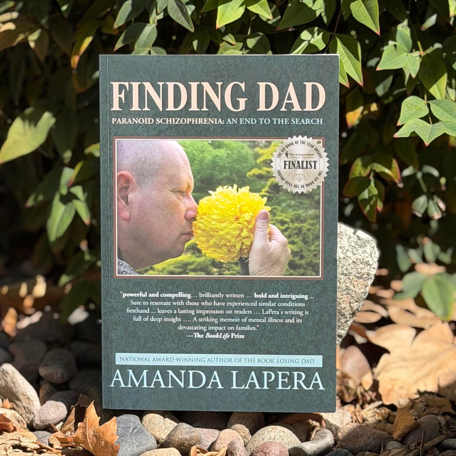 Finding Dad cover posed near rocks and bushes.